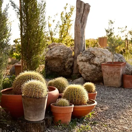 Sunset No: 23 Casa vacanze *